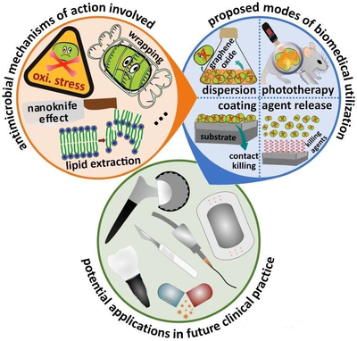 石墨烯與細(xì)胞技術(shù) 抗菌納米醫(yī)學(xué)領(lǐng)域的交匯與未來展望